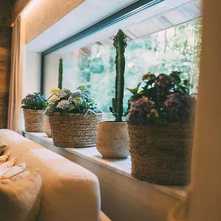 Appartement Art Of Alpi Mit Sauna Und Bergblick Grainau